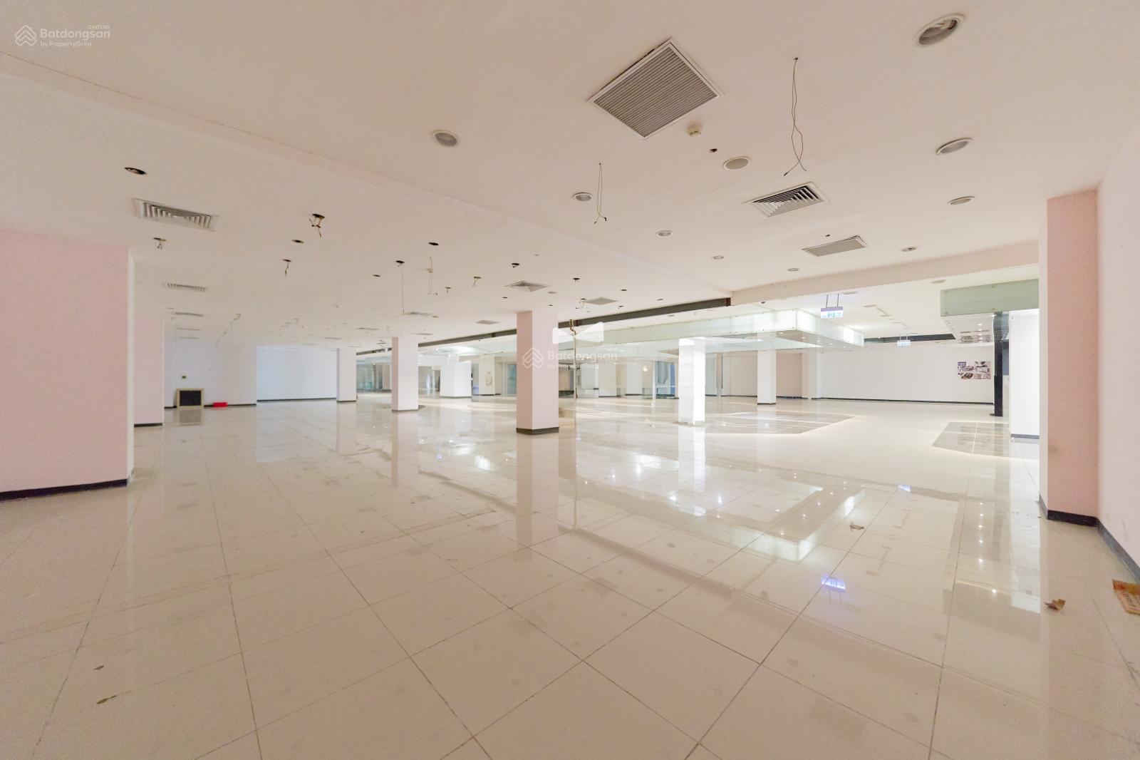 cho-thue-mat-bang-thuong-mai-amp-van-phong-hang-a-grand-plaza-tran-duy-hung-3